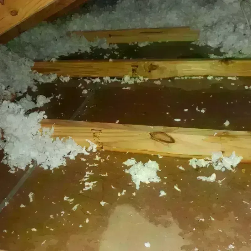 Attic Water Damage in New Hope, OR